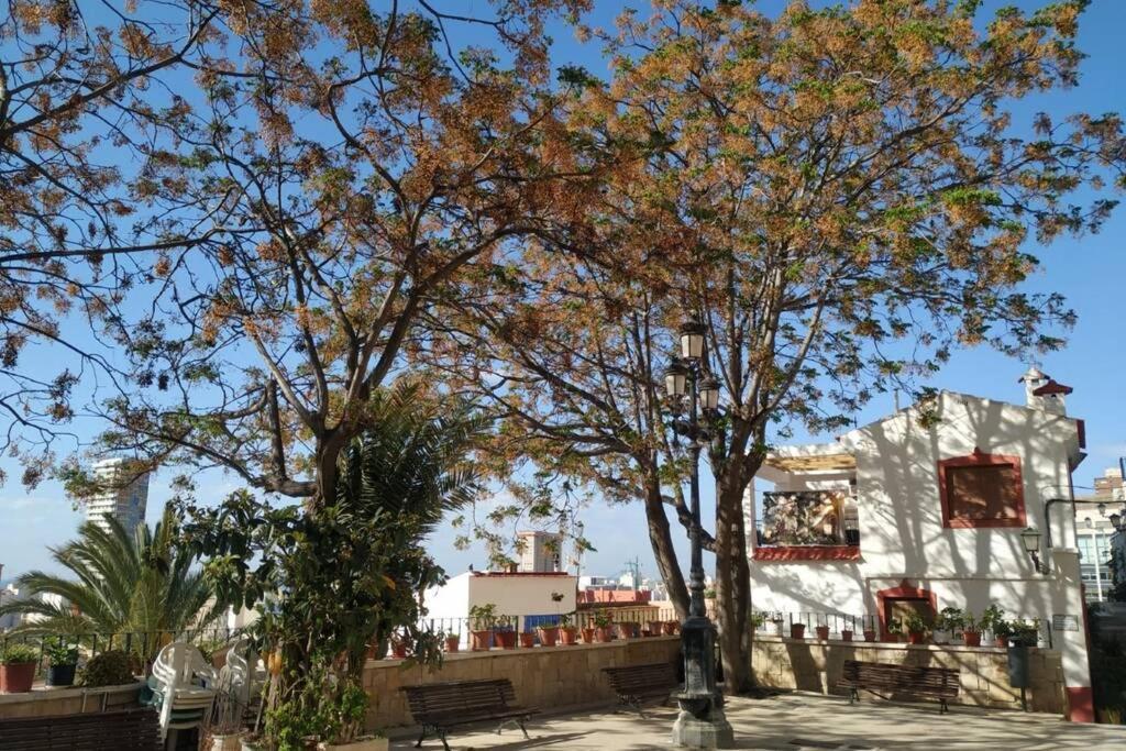 San Antonio Villa Alicante Eksteriør billede